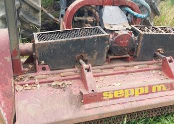 Mulczer leśny seppi midiforst dt 200