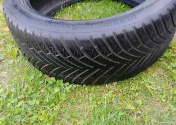 Opona Całoroczna Leao l - Green All Season 205/ 45/ 16