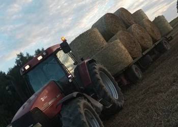 Słoma siano bele 125cm