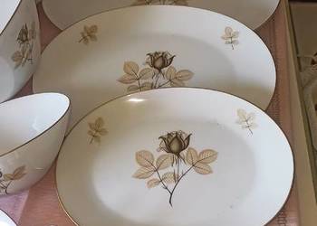 Serwis obiad, kawa, herbatę. Schattenrose. Rosenthal. Form