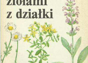 LECZYMY SIĘ ZIOŁAMI Z DZIAŁKI