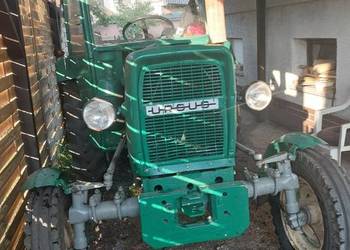 Ursus 30