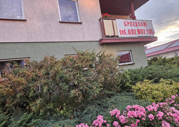 4-pokojowe we Wrześni