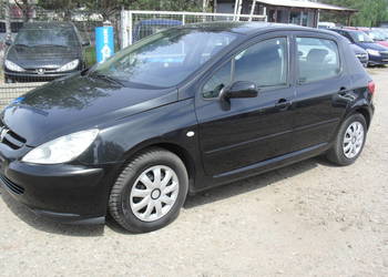 Peugeot 1.6/16V KLIMA ELEKTRYKA
