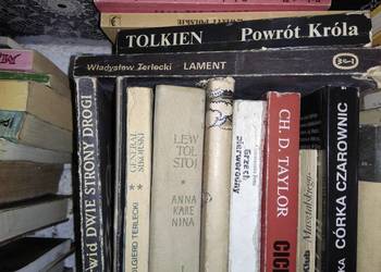 Cichy łowca Taylor książki używane antykwariaty szkolne