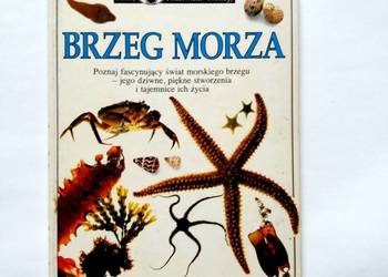 Steve Parker - Brzeg morza. Poznaj fascynujący świat morskie