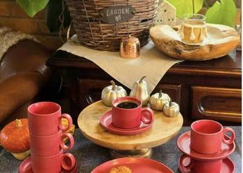 99 zł Talerze z kubkami 18 elementów burgund