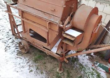 Bukownik do koniczyny orkiszu