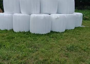 Sprzedam Siano-kiszonkę