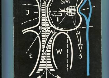 Problemy przyszłości miast dużych - Piotr Zaremba