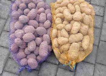 Sprzedam ziemniaki jadalne