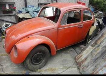 Garbus 1970r