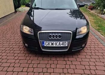 Audi a3 8p 2,0tdi