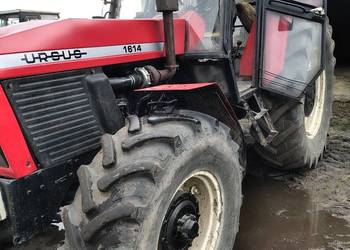 Ursus 1224/1614