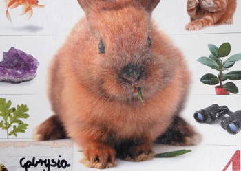 przyroda z pomysłem 4 książki kolekcjonerskie