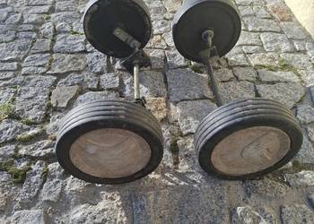 Kola kosiarki viking