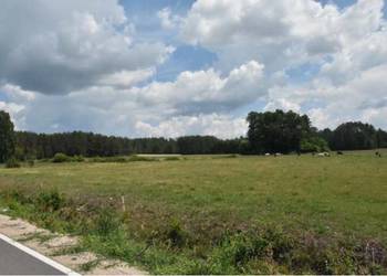Syndyk sprzeda - Tartak, nieruchomość gruntowa 0,66 ha