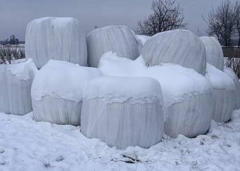 Baloty sianokiszonka 120x120