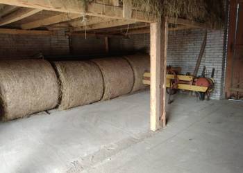 Sprzedam Siano w kostkach i belach