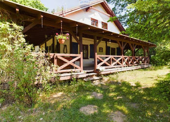 Siedlisko w otulinie lasu