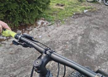 Trek marlin