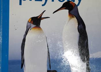 tajemnice przyrody 6 książki szkolne tajemnice przyrody 6 książki szkolne