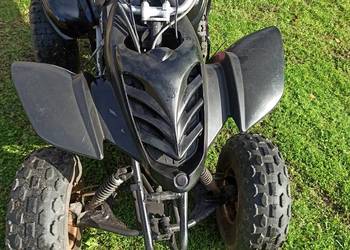 Shenrey 200 automat 1+1