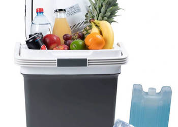 Lodówka turystyczna przenośna samochodowa 29L 220-240V DC12V funkcja grzan…