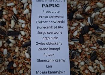 Mieszanka zbóż dla PAPUG