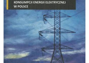 Wskaźniki wyprzedzające konsumpcji energii elektrycznej w Po