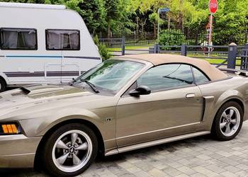 Ford Mustang 2001 GT V8 Cabrio