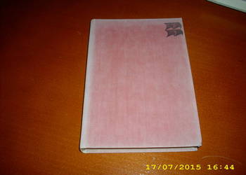 Za ostatnim przystankiem -P. Burchard