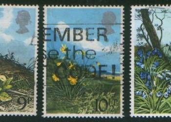 Zn. Anglia Mi 785 - 7 kas 1979