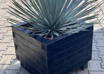 Donica do palm www.proecoland.pl