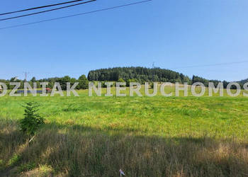 Do sprzedaży działka 3109m2 Grzędy Górne