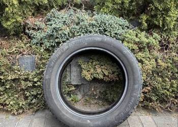 Opona całoroczna 205/55/17 Michelin Cross Climate 2