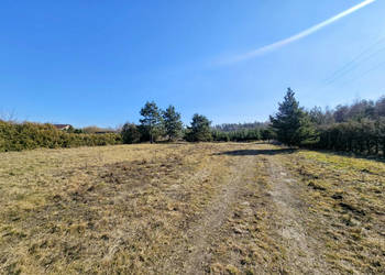 Działka budowlana 8600 m2 w klimatycznej miejscowości / Osuchów / Mszczonó…