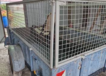 Przyczepka samochodowa