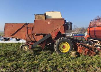 Sprzedam kobaj ihc 531