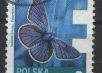 Zn. Fi 4447, 79 kas 2013