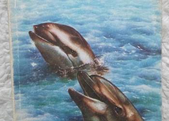 Wyspa delfinów Arthur C. Clarke