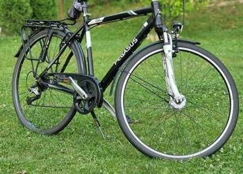 Rower Męski Pegasus