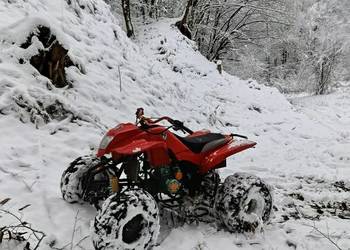 Bashan 250 chłodzony cieczą 4+1