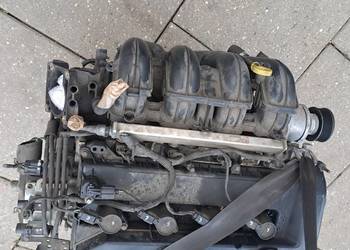 Ford Fokus 2.0 16V benzyna silnik kompletny kod AQDA AQDB AQDE SYDA