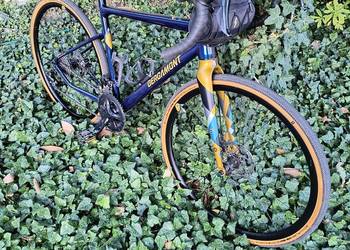 Bergamont Grandurance 4 gravel trek Giant