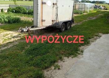 Przyczepka przyczepa bukmanka bydło konie odsadki krowa jałówki transport