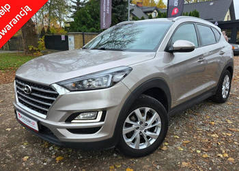 Hyundai Tucson 1.6 GDl Lift Bezwypadkowy Super Stan kamera PDC III (2015-2…