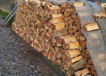 Drewno kominkowe brzoza.