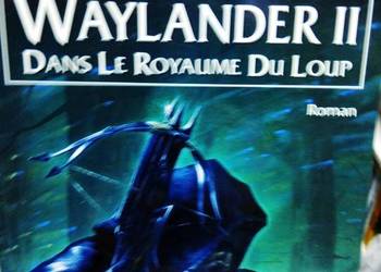 Waylander po francusku książki outlet używane antykwariat
