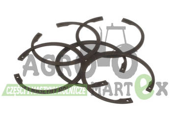 11062676, P36256, J36256, 933234R1, 811255-8105 PIERŚCIEŃ ZABEZP M95 CNH